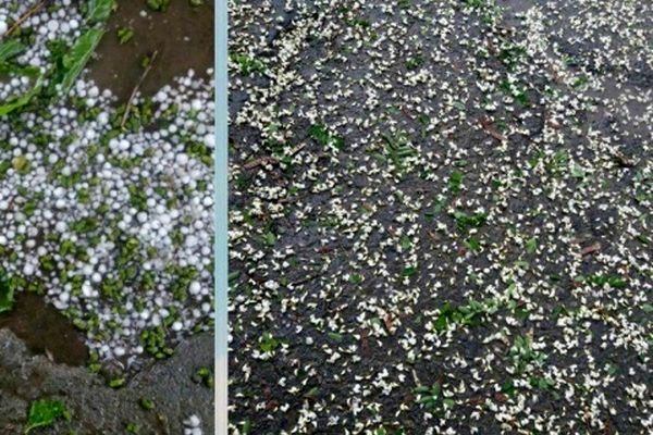 تگرگ پائیزی مردم مشهد را غافلگیر کرد+عکس