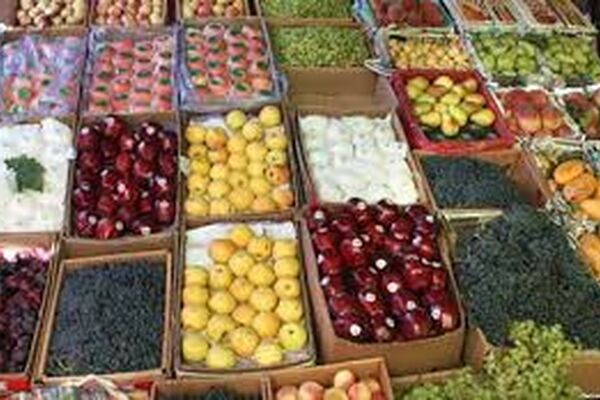 کشور‌های اروپایی متقاضی صادرات محصولات ما هستند