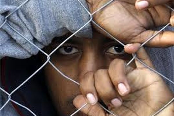 افزایش چشمگیر اخراج پناهندگان از آلمان به کشورهای شمال آفریقا