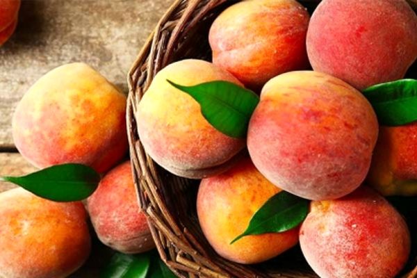 ماسک شلیل ماسک جوانی