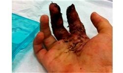 اطلاعات تکمیلی از مدیر مضروب گلبهاری
