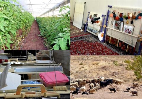 پیگیری طرح‌های ملی اشتغال پایدار در روستاهای خراسان‌رضوی؛ زمینه مهاجرت معکوس فراهم می‌شود؟