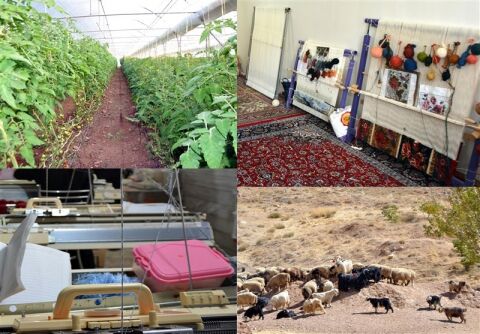 پیگیری طرح‌های ملی اشتغال پایدار در روستاهای خراسان‌رضوی؛ زمینه مهاجرت معکوس فراهم می‌شود؟