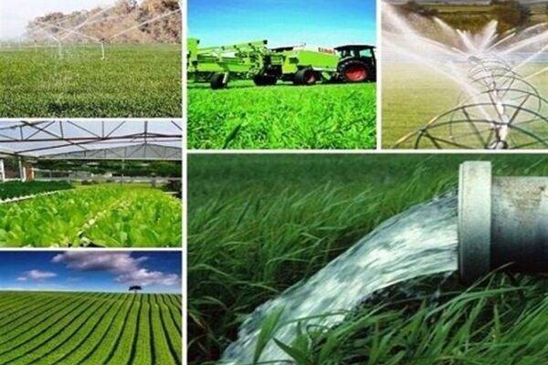 تجربه کم‌بارش‌ترین سال زراعی در خراسان‌رضوی/ «پائیز حاصل‌خیز»؛ آرزوی مشترک کشاورزان