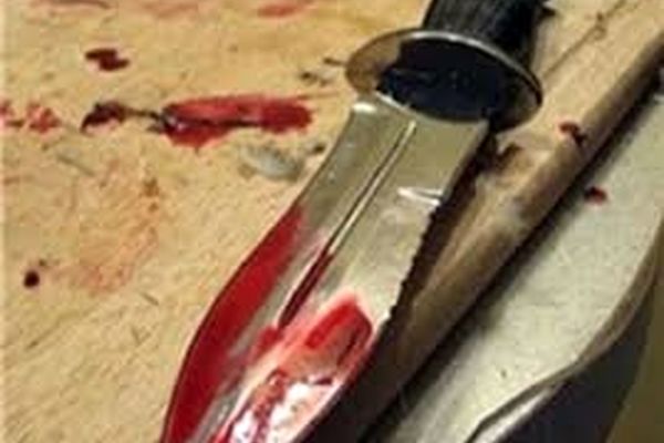 بازیگر مشهور سینما قمه به دست شد! +عکس