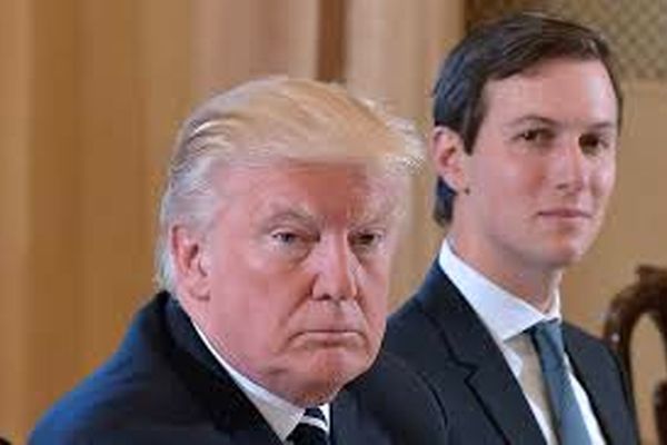 داماد ترامپ متهم شد