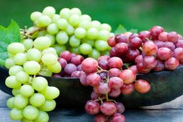 خواص شگفت انگیز لاغر کنندگی و چاق کنندگی «انگور»