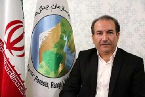 64 طرح آبخیزداری در خراسان رضوی در حال اجراست