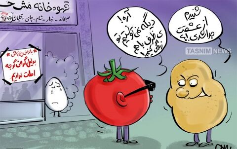 بدلیل گرانی‌گوجه، املت نداریم!