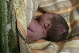 نوزاد 6ماهه در غسالخانه زنده شد