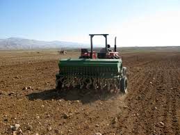برنامه کشت پاییزه محصولات کشاورزی در استان