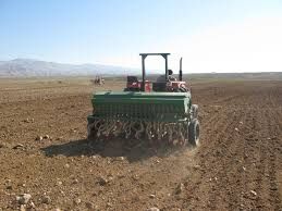 برنامه کشت پاییزه محصولات کشاورزی در استان