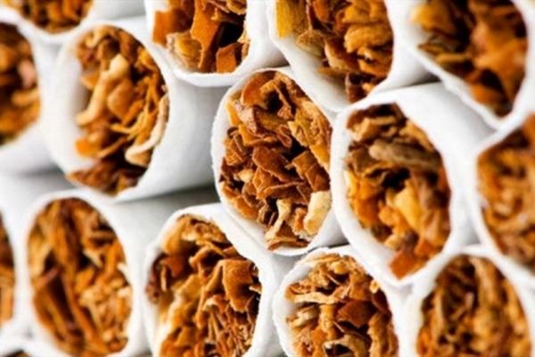 مافیا، میدان‌دار توزیع دخانیات در بازار