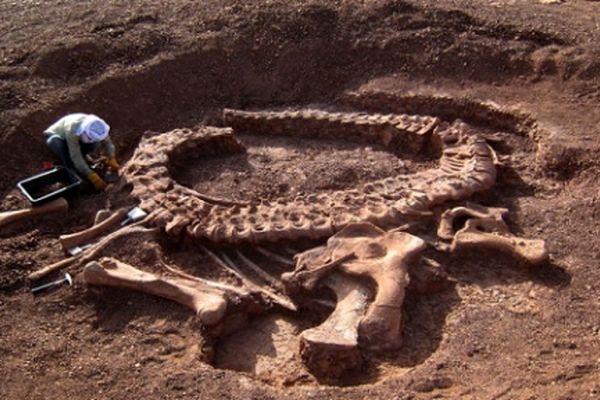 DNA اجساد باستانی مدلی برای شناخت حیات و شرایط منطقه‌ای در گذشته