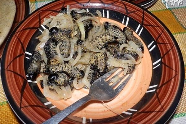 عجیب‌ترین غذا‌های سراسر جهان