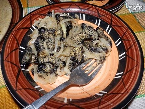 عجیب‌ترین غذا‌های سراسر جهان