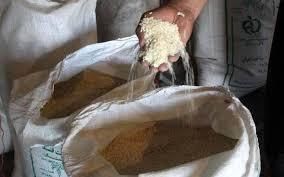 عرضه برنج وارداتی به قیمت مصوب