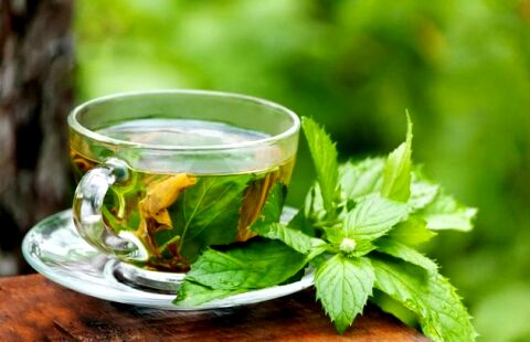 طرز تهیه چای سرد نعناع و گل یاس