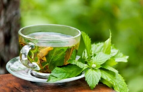 طرز تهیه چای سرد نعناع و گل یاس