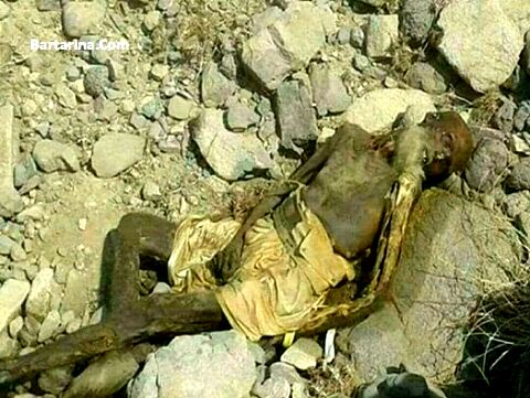 جسد انسان پس از مرگ چگونه تجزیه می‌شود؟