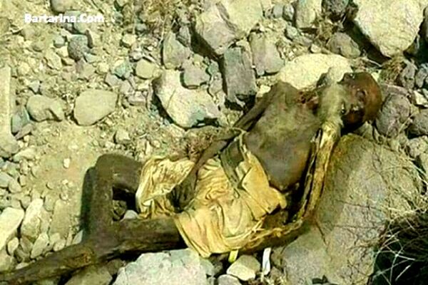 جسد انسان پس از مرگ چگونه تجزیه می‌شود؟