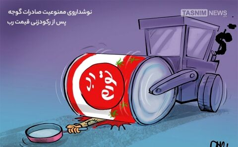 نوشداروی‌صادرات‌گوجه پس از رکودزنی‌ قیمت‌رب