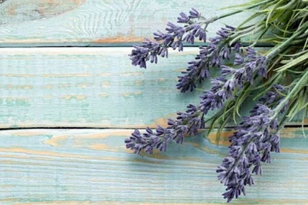 درمان فوری جوش های صورت