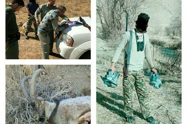 دستگیری عاملین شکار غیرمجاز در پارک ملی تندوره