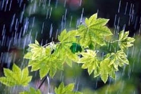 بارشهای پاییزی در خراسان رضوی بیشتر از معمول خواهد بود