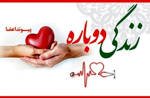 اهدای عضو جان چهار نفر را نجات داد