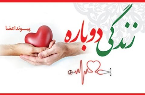 اهدای عضو جان چهار نفر را نجات داد