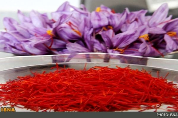 پیمان سپاری ارزی منجر به افزایش قاچاق زعفران می‌شود