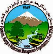 معضل ما در سراسر کشور، کمبود نیرو است