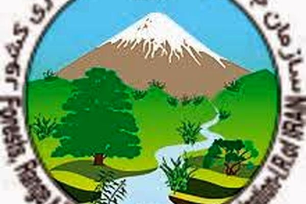 معضل ما در سراسر کشور، کمبود نیرو است