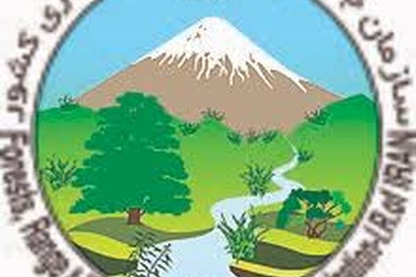معضل ما در سراسر کشور، کمبود نیرو است