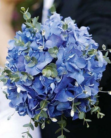 زیباترین مدل‌های دسته گل عروس با هورتانسیا