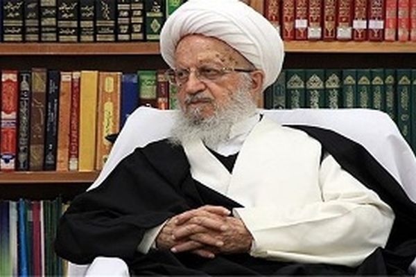 آیت‌الله مکارم شیرازی: دولت برای کاهش ارزش پول ملی فکری بکند