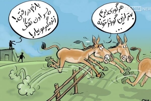 کمدی تلخ طرح احیای گورخر