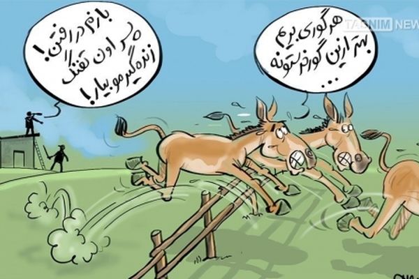 کمدی تلخ طرح احیای گورخر