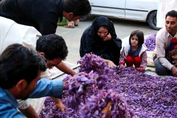 بزرگ ترین بازار زعفران شرق کشور در تربت حیدریه