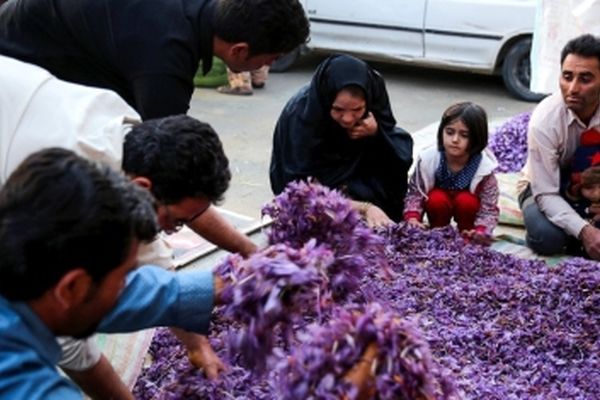 بزرگ ترین بازار زعفران شرق کشور در تربت حیدریه