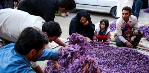 بزرگ ترین بازار زعفران شرق کشور در تربت حیدریه