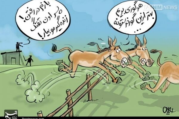 کمدی تلخ طرح احیای گورخر!