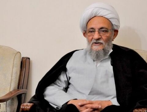 عضو مجلس خبرگان رهبری: نامه‌نگاری اخیر آیت الله یزدی نباید به سطح سیاسی تنزل کند