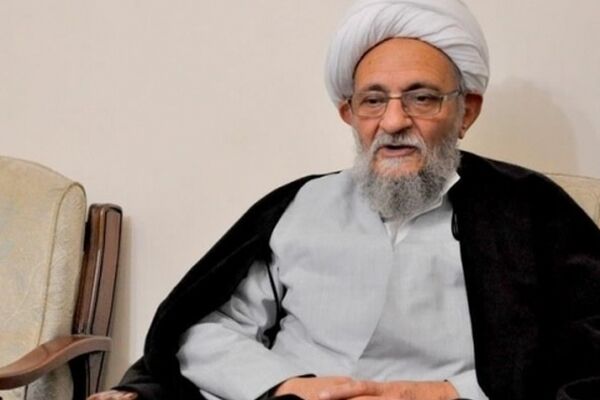 عضو مجلس خبرگان رهبری: نامه‌نگاری اخیر آیت الله یزدی نباید به سطح سیاسی تنزل کند