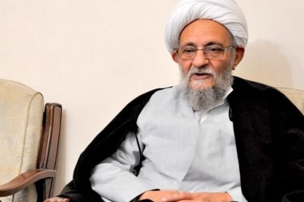 عضو مجلس خبرگان رهبری: نامه‌نگاری اخیر آیت الله یزدی نباید به سطح سیاسی تنزل کند