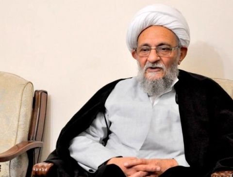 عضو مجلس خبرگان رهبری: نامه‌نگاری اخیر آیت الله یزدی نباید به سطح سیاسی تنزل کند