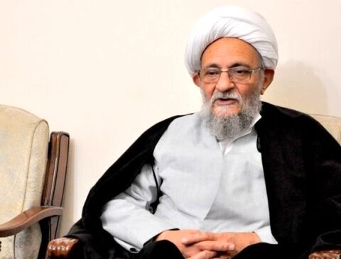 عضو مجلس خبرگان رهبری: نامه‌نگاری اخیر آیت الله یزدی نباید به سطح سیاسی تنزل کند