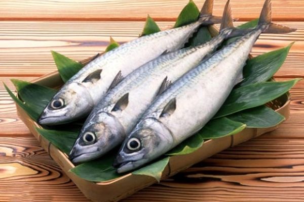 چرا ایرانی‌ها با ماهی قهرند؟