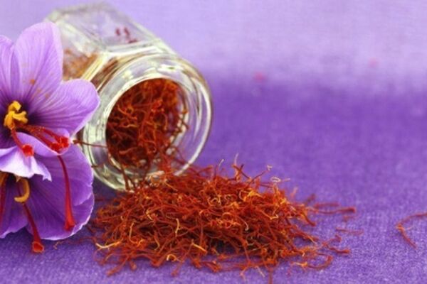 خرید توافقی زعفران در خراسان رضوی آغاز شد